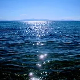 Baskent Didim