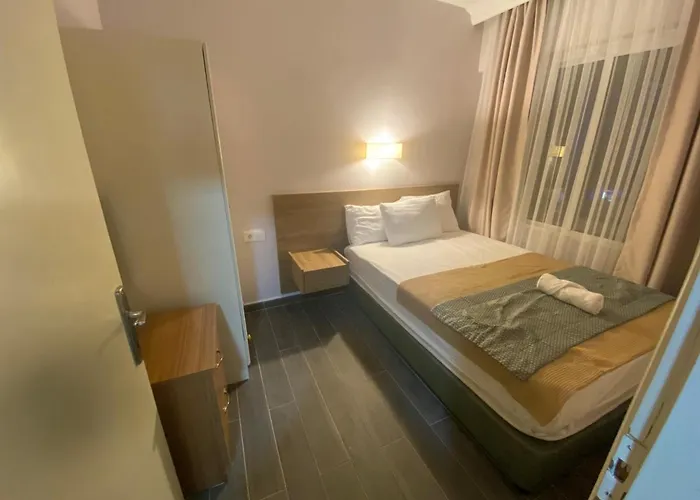 فندق Baskent ديديم