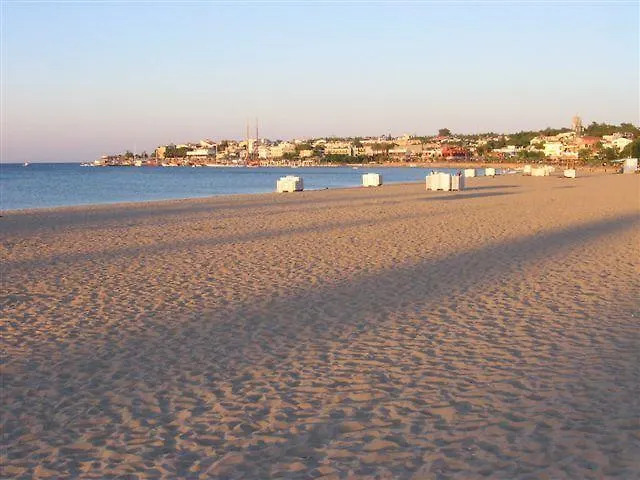 فندق Baskent ديديم